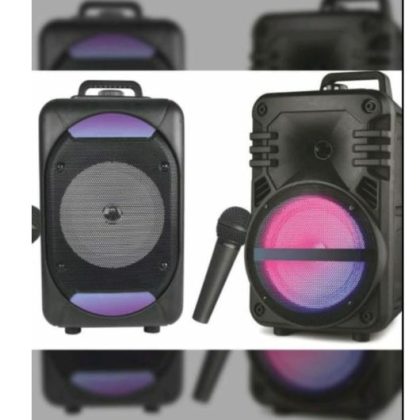 Zee Audio Trolley 1228, a high-performance portable speaker featuring a 12-inch woofer for deep, punchy bass and crystal-clear highs.