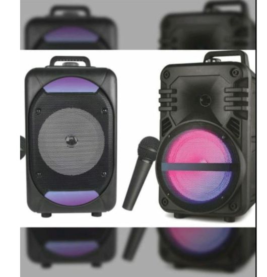 Zee Audio Trolley 1228, a high-performance portable speaker featuring a 12-inch woofer for deep, punchy bass and crystal-clear highs.