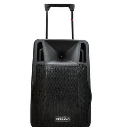 Zee Audio Trolley 1231. Equipped with a 12-inch woofer, this portable trolley speaker delivers deep, resonant bass, clear mids, and crisp highs for a full, immersive audio experience
