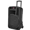 Zee Audio Trolley 15" 1225. Equipped with a robust 15-inch woofer, this portable trolley speaker delivers deep, resonant bass, clear mids, and crisp highs for an immersive audio experience