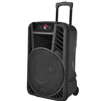 Zee Audio Trolley 15" 1225. Equipped with a robust 15-inch woofer, this portable trolley speaker delivers deep, resonant bass, clear mids, and crisp highs for an immersive audio experience