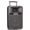 Zee Audio Trolley 15" SP-55. Featuring a high-power 15-inch woofer, this trolley speaker delivers deep bass, crisp mids, and clear highs for immersive sound