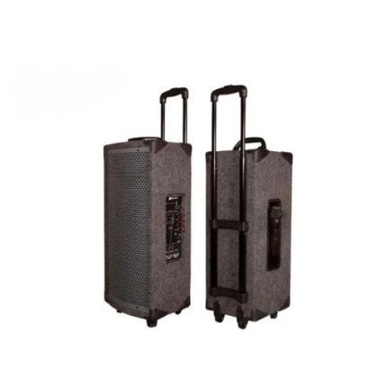 TROLLY 8" MODEL X-3. Featuring an 8-inch high-performance driver, it delivers deep bass, crisp highs, and balanced mids for a truly immersive listening experience.