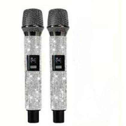 ZEE AUDIO DOUBLE MIKE DIAMOND, designed for two-person use with exceptional clarity and minimal distortion.