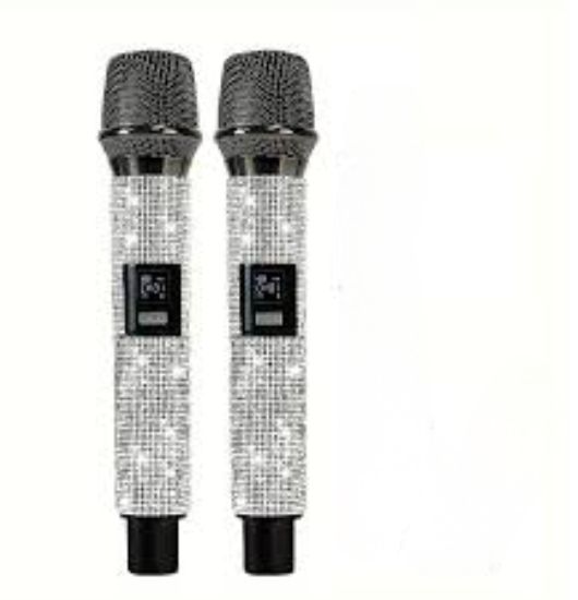 ZEE AUDIO DOUBLE MIKE DIAMOND, designed for two-person use with exceptional clarity and minimal distortion.