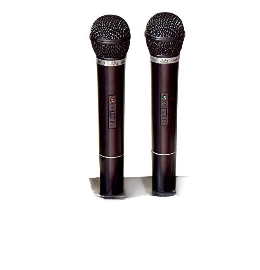 ZEE AUDIO DOUBLE MIKE DOLBY, designed for dual-microphone use with Dolby-enhanced clarity.