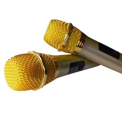 ZEE AUDIO DOUBLE MIKE GOLD, designed for dual use with superior sound quality.