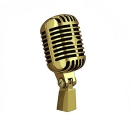 ZEE AUDIO SINGLE MIKE GOLD, designed for performers, speakers, and content creators.